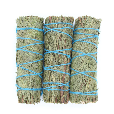 Cedar Bundle - Maxwell's Mystic Market