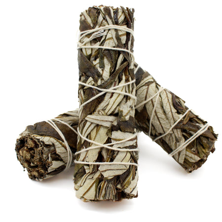 Yerba Santa - Emotional Healing - Maxwell's Mystic Market