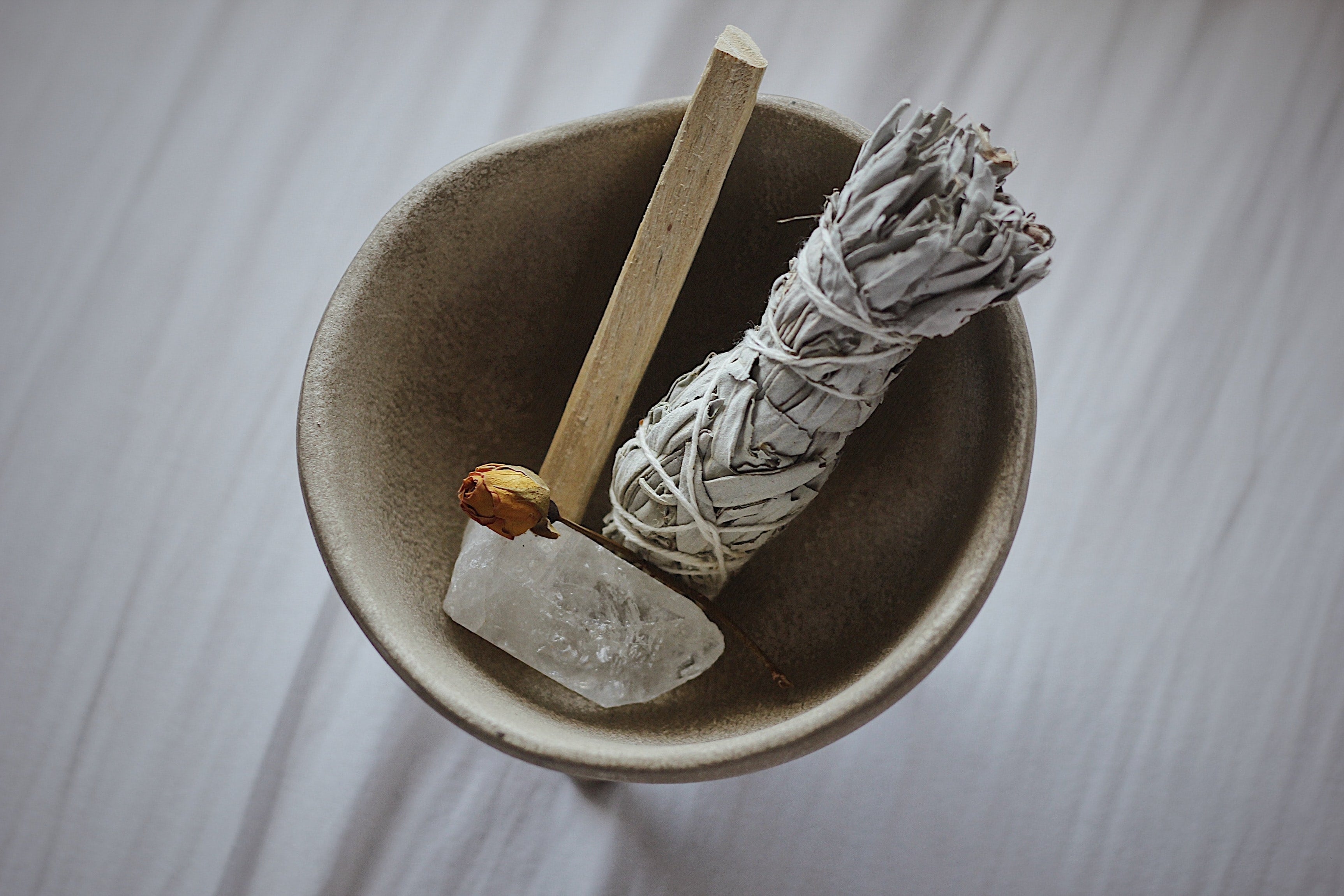 Palo Santo vs Sage Which is better for purifying your space? Maxwell