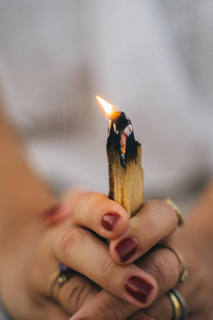 Why Buying Palo Santo is an Ethical Choice - Maxwell's Mystic Market