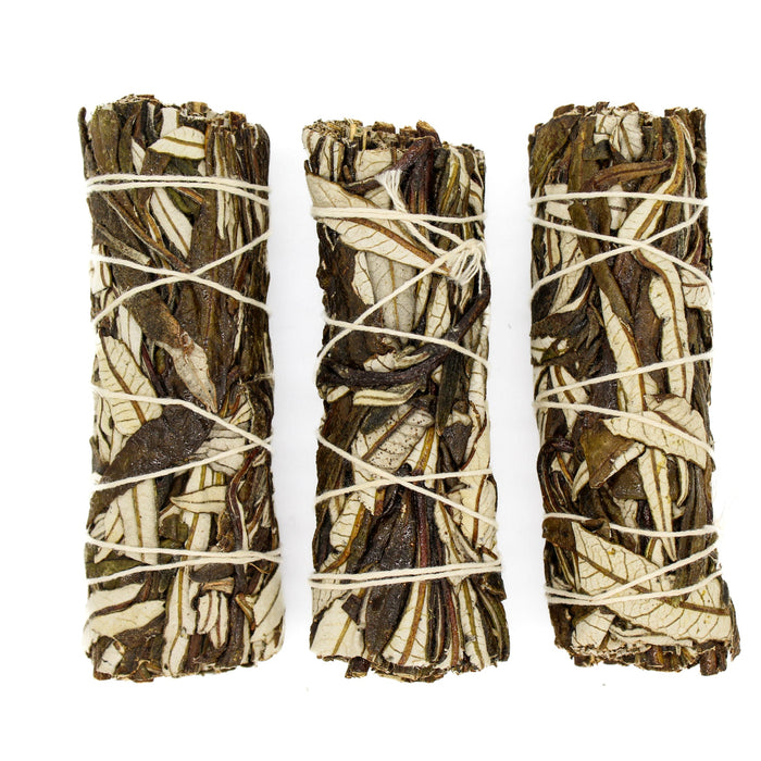 Yerba Santa - Emotional Healing - Maxwell's Mystic Market