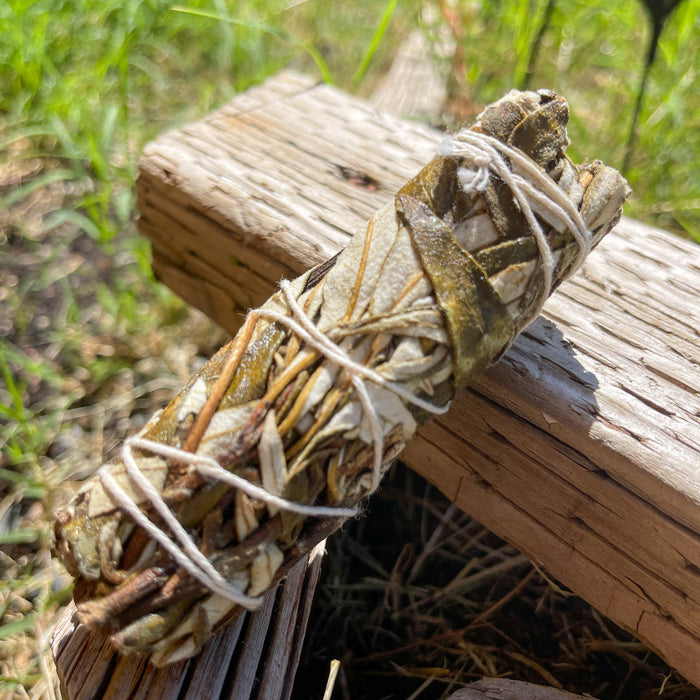 Herbal Sage Bundles - Maxwell's Mystic Market